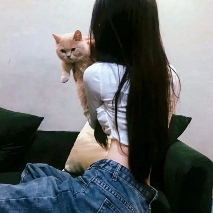 你是我羔羊